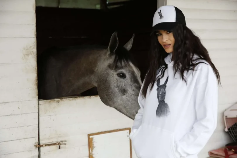 Donkey Love Hoodie 3000 – Image 2